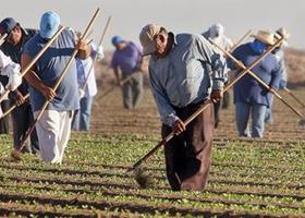 Increasing the Workforce for a Greater Harvest