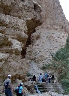 Оно того стоит!