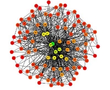 From Hierarchies to Networking